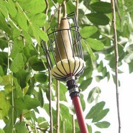 Na šta treba obratiti pažnju prilikom berbe jabuka?