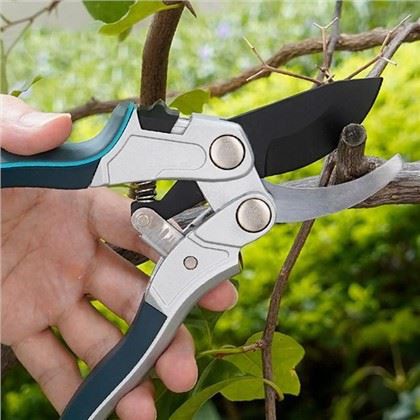 Odabir savršenih rezilica za vaše jabuke: Vodič za vrtlare