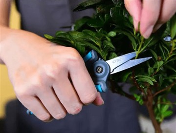 Zašto smo lansirali nove i veće makaze