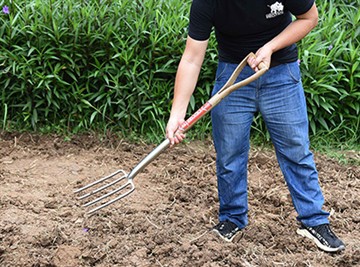 Kratko predstavljanje ruske baštenske kulture