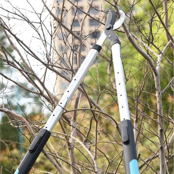 Obrezivanje i obrezivanje: briga o mojoj porodičnoj bašti