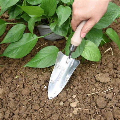 Dnevnik sadnje vrta -1