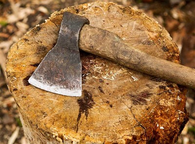 Alati za rezanje drveća i sigurnosna oprema