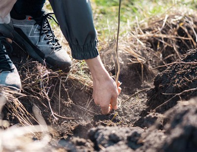 Razigrani koraci za iskopavanje korijena