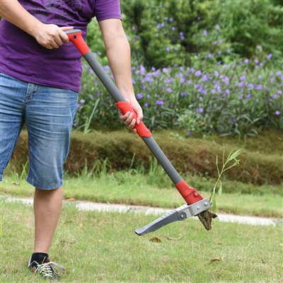 Uspostavite Weeder za bez napora