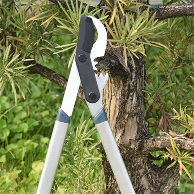 Najbolji alat za obrezivanje grana su zaobilazne sjekače