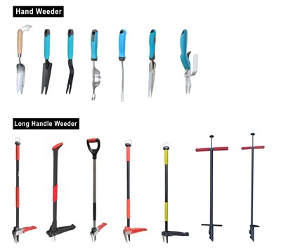 Negovanje zelene: prihvatanje održivosti u svom vrtu