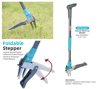 Obilježavanje Festivala sredine jeseni širom svijeta: harmonija tradicije i b...