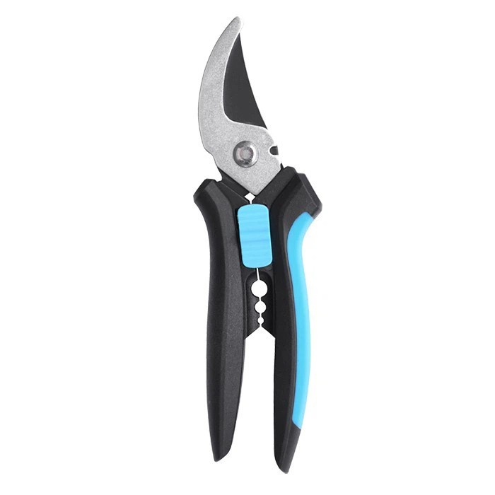 Profesionalni ružini ružini